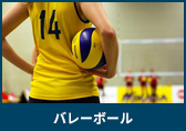 バレーボール