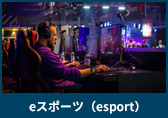 eスポーツ（esport）