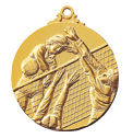 バレーボール（女）