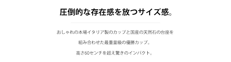 JW-C-1046 イタリア生まれの特大サイズの優勝カップ
