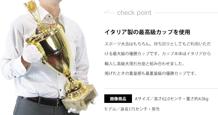 JW-C-1046 優勝カップを掲げたときのサイズ感のご紹介