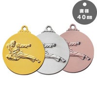 空手表彰メダルJAS-SM-karate