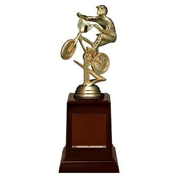 モトクロスブロンズトロフィーJA-VC-3597