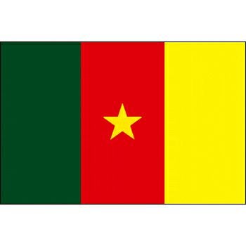 外国旗・卓上旗カメルーン