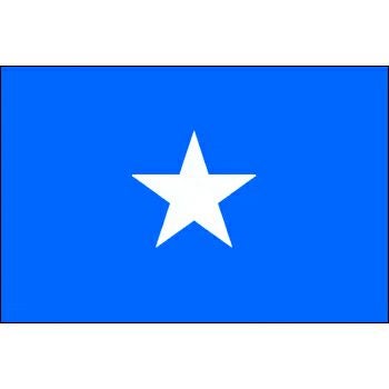 外国旗・卓上旗ソマリア