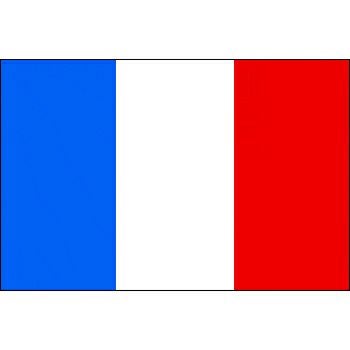 外国旗・卓上旗フランス