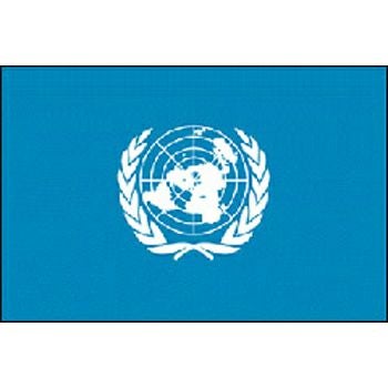 外国旗・卓上旗国連