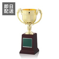 【即日発送】お急ぎ便優勝カップJ-PC-129