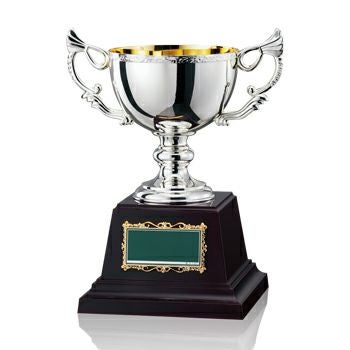 ソフトボール優勝カップJW-CA-1036-softball