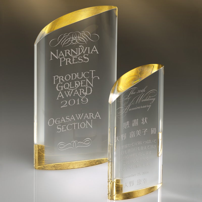 セミオーダートロフィーJA-ZAG-1411