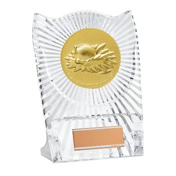 水泳ドラえもんアクリル製表彰楯JS-DRZ-4004-swimming