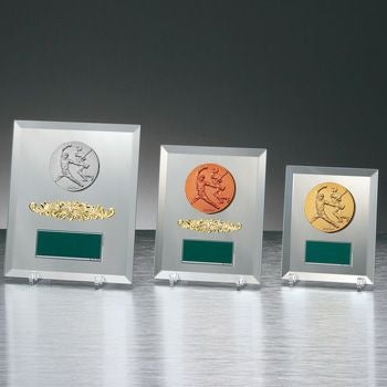 ソフトボールミラー表彰楯JW-S-6019-softball