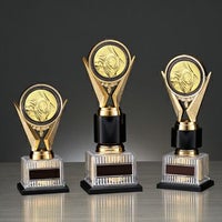 写真・フォトコンテストブロンズトロフィーJS-BRZ-4670-photo