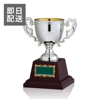 【即日発送】お急ぎ便優勝カップJ-C-120