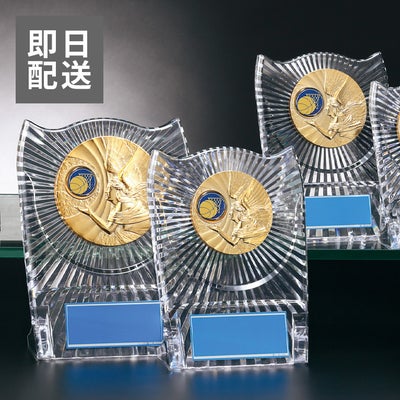 【即日発送】お急ぎ便バスケットボールアクリル表彰楯J-P-180-basketball