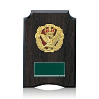 樹脂製表彰楯JW-SO-5202