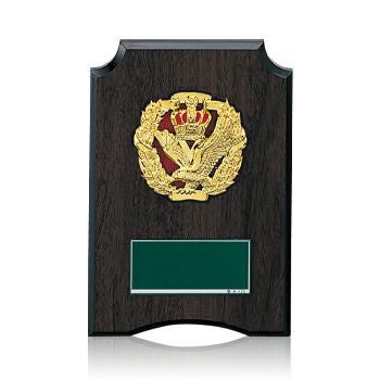 樹脂製表彰楯JW-SO-5202