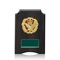 樹脂製表彰楯JW-SO-5202