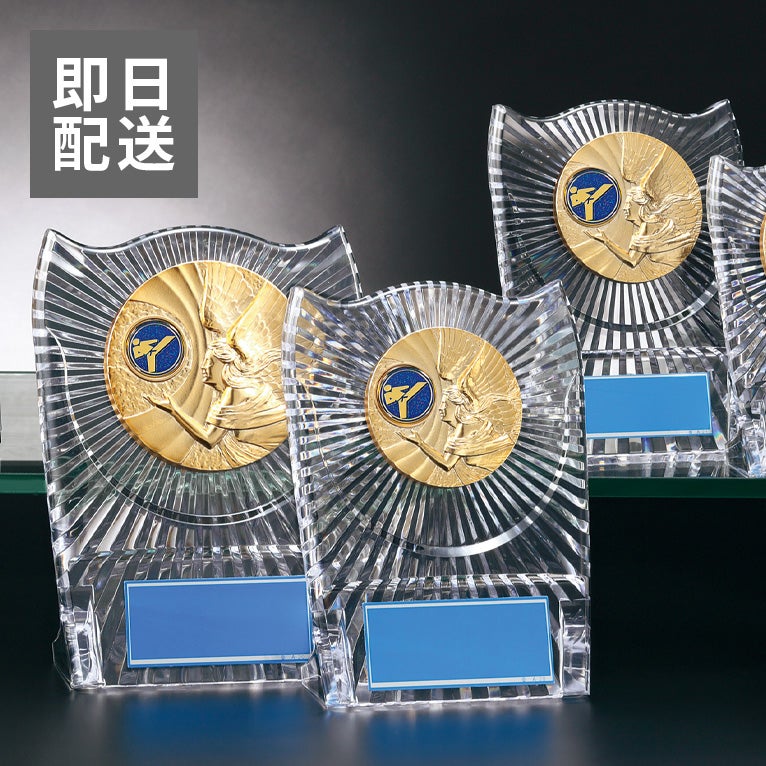 【即日発送】お急ぎ便テコンドーアクリル表彰楯J-P-180-taekwondo