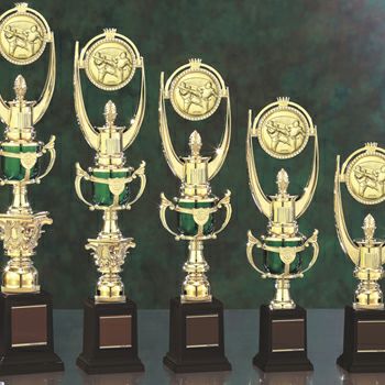 テコンドースタンダードトロフィーJS-TRZ-4303-taekwondo