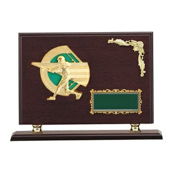 野球木製表彰楯JW-SO-5011