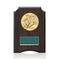 樹脂製表彰楯JW-S-6059