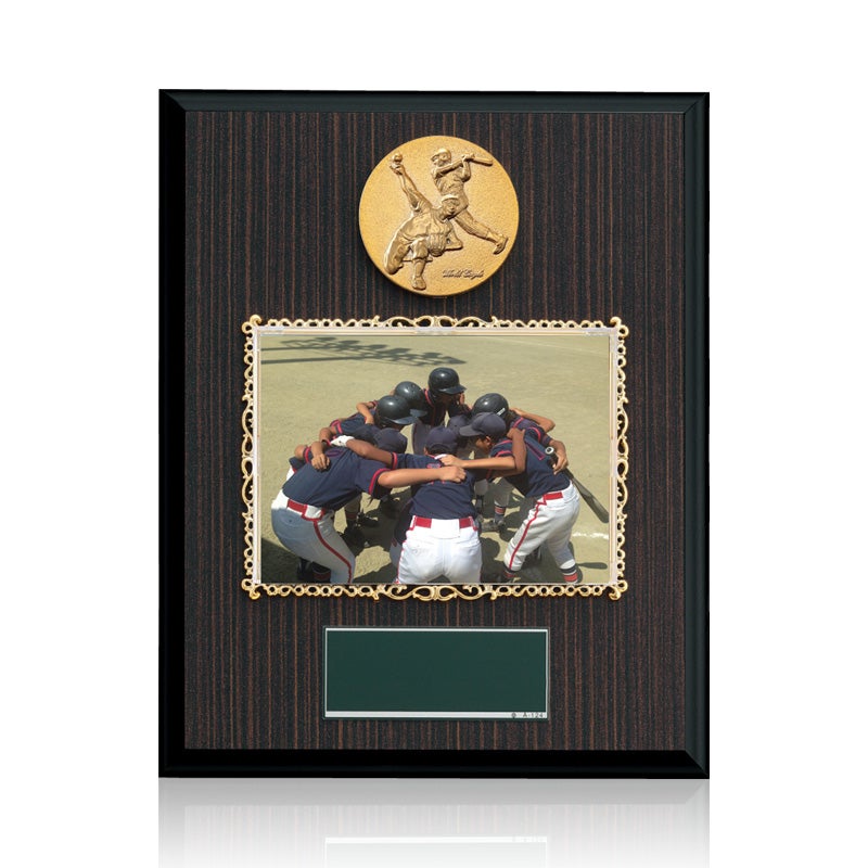 野球フォトフレーム表彰楯JW-BM-8399-baseball