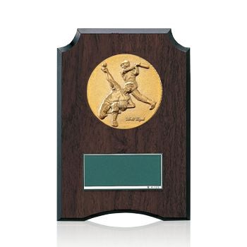 野球樹脂製表彰楯JW-S-6059-baseball