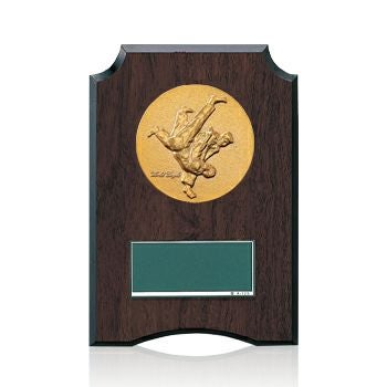 柔道樹脂製表彰楯JW-S-6059-judo