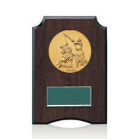 剣道樹脂製表彰楯JW-S-6059-kendo