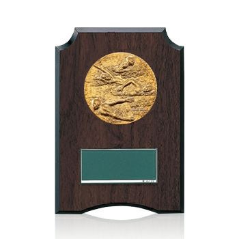水泳樹脂製表彰楯JW-S-6059-swimming