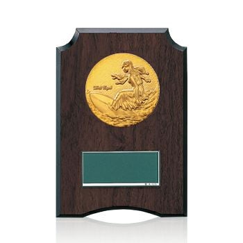 サーフィン樹脂製表彰楯JW-S-6059-surfing