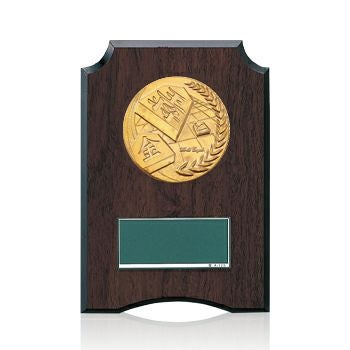 将棋樹脂製表彰楯JW-S-6059-japanesechess