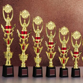 スタンダードトロフィーJS-TRZ-4371-karate