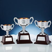 優勝カップJS-NO-4501