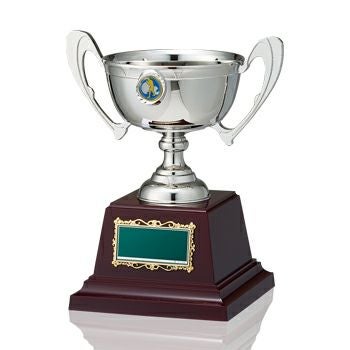 総合格闘技優勝カップJW-RC-1043-martialarts