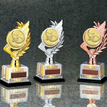 スケートボード（スケボー）JS-BRZ-4672-skateboard