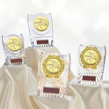 レスリングアクリル表彰楯JS-ATZ-4477-wrestling