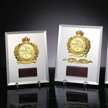 レスリングミラー表彰楯JS-ATZ-4496-wrestling