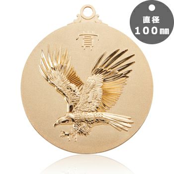 表彰メダルJAS-LM-100