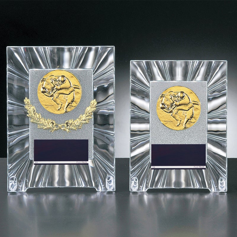柔道アクリル製表彰楯JFJ-XF-7422-judo